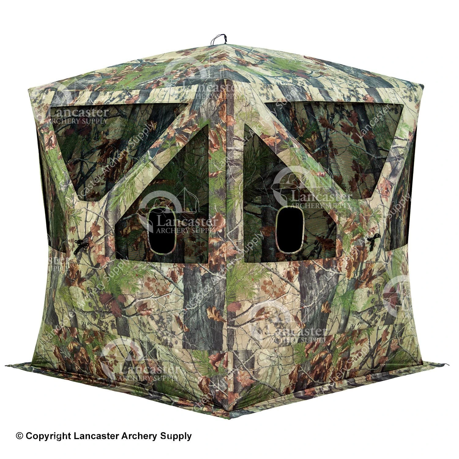 Barronett Big Cat Blind 3 Barronett Big Cat Blind