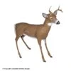 Flambeau Master Series Scrapper Buck Decoy -Outdoor Hunting Shop 1031631