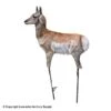 Montana Decoy Antelope Fawn Decoy -Outdoor Hunting Shop 3220029