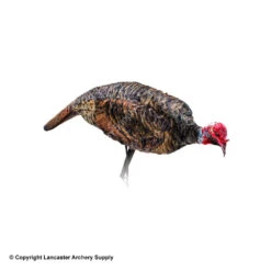 Outdoor Hunting Shop -Outdoor Hunting Shop 3220031 1