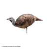 Montana Decoy Miss Purrfect XD Turkey Hen Decoy -Outdoor Hunting Shop 3220032