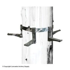 Hawk Monkey Bars Tree Steps