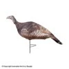 Primos Photoform Hen Turkey Decoy 1 Primos Photoform Hen Turkey Decoy -Outdoor Hunting Shop 3490176