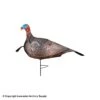Primos Photoform Jake Turkey Decoy -Outdoor Hunting Shop 3490177