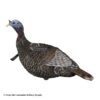 Flextone Thunder Jake 1/4 Strut Turkey Decoy -Outdoor Hunting Shop 4730074 f880548a d136 447b bbfd 33fba2cbf08b