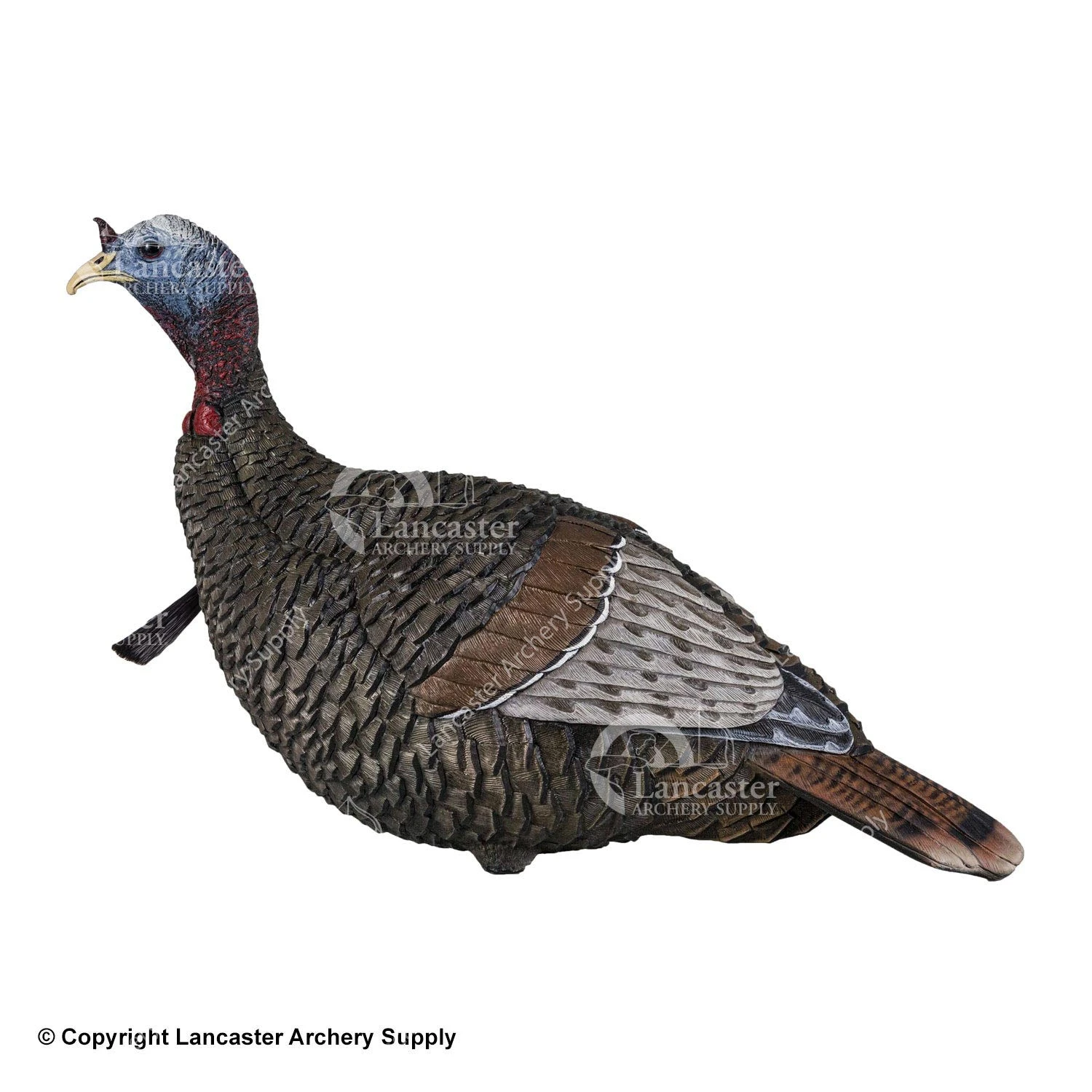 Flextone Thunder Jake 1/4 Strut Turkey Decoy 3 Flextone Thunder Jake 1/4 Strut Turkey Decoy