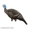 Rinehart Doloma Hen Turkey Decoy -Outdoor Hunting Shop 5650226