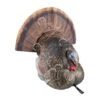 Avian-X LCD Strutter Turkey Decoy -Outdoor Hunting Shop 8380005