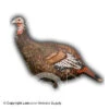 Avian-X LCD Lookout Hen Turkey Decoy 2 Avian-X LCD Lookout Hen Turkey Decoy -Outdoor Hunting Shop 8380009