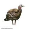 Avian-X LCD Breeder Hen Turkey Decoy 2 Avian-X LCD Breeder Hen Turkey Decoy -Outdoor Hunting Shop 8380011