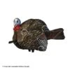 Avian-X LCD Jake 1/2 Strut Turkey Decoy -Outdoor Hunting Shop 8380014