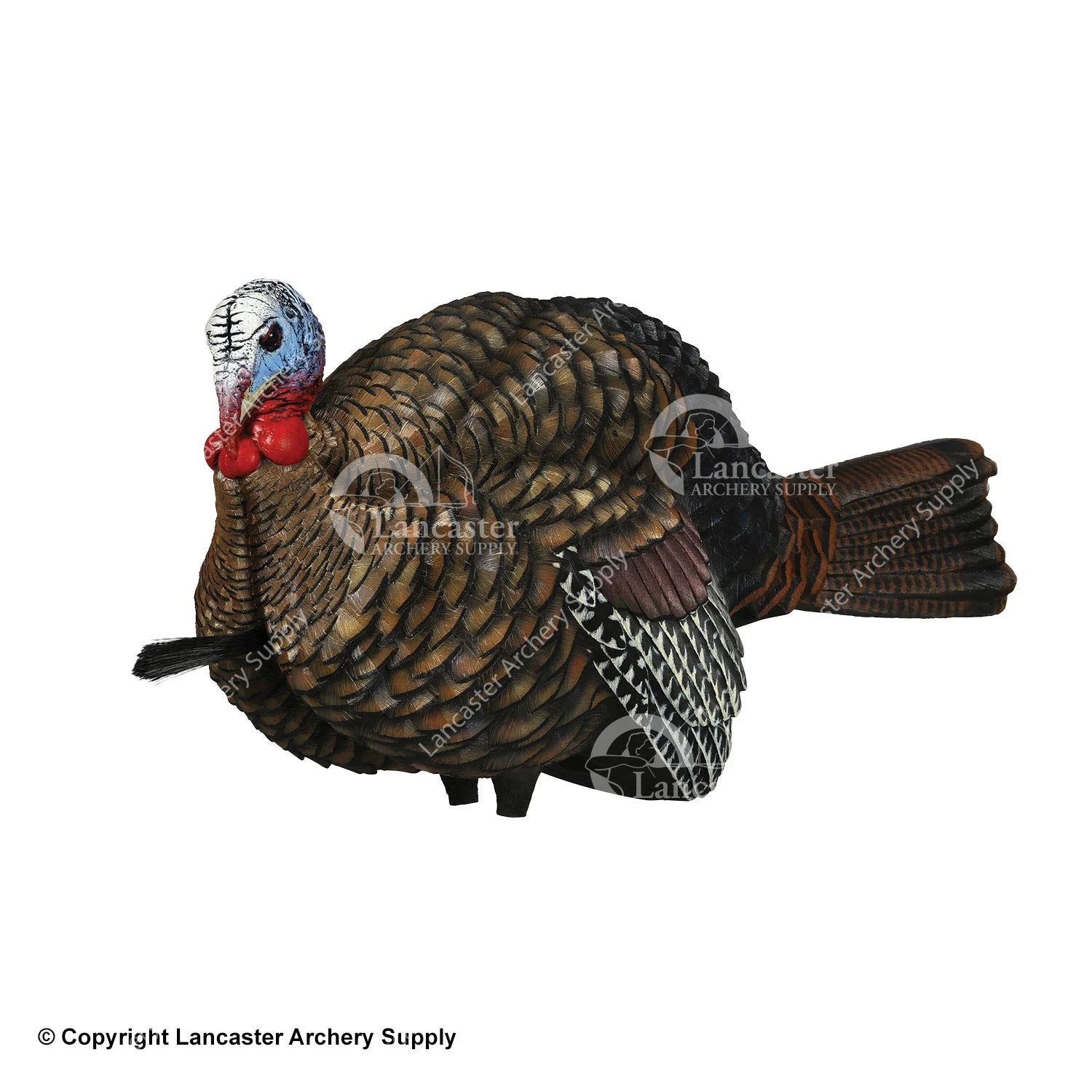 Avian-X LCD Jake 1/2 Strut Turkey Decoy 3 Avian-X LCD Jake 1/2 Strut Turkey Decoy