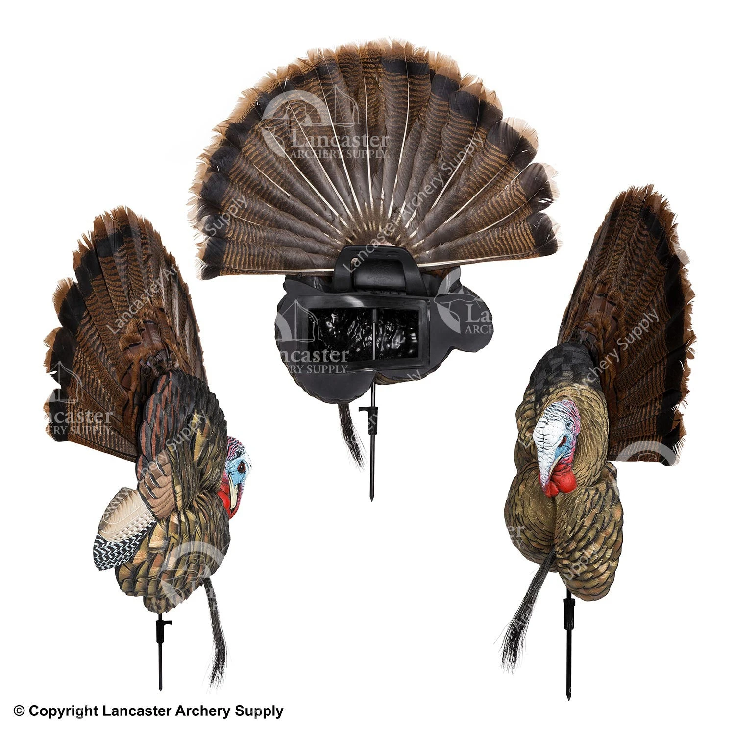 Avian-X Trophy Tom Turkey Decoy 4 Avian-X Trophy Tom Turkey Decoy - Image 2