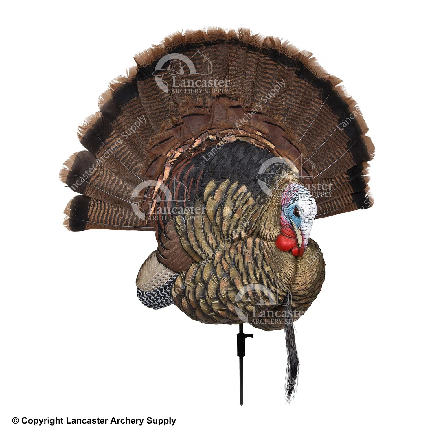 Avian-X Trophy Tom Turkey Decoy 3 Avian-X Trophy Tom Turkey Decoy