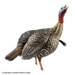 Outdoor Hunting Shop -Outdoor Hunting Shop 8380016 sub