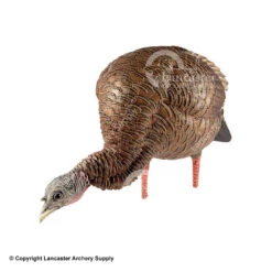 Avian-X HDR Feed Hen Decoy