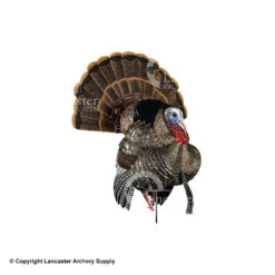 Avian-X HDR Strutter Turkey Decoy